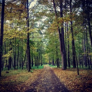 Druskininkai
